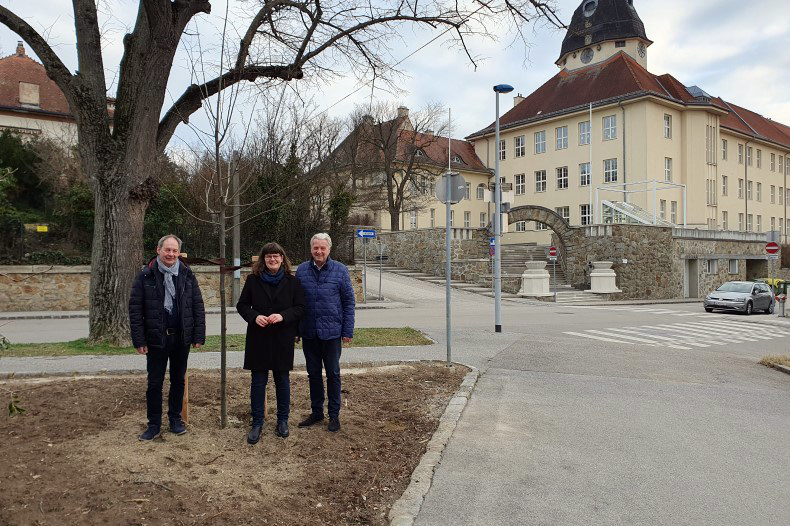 AA_Baumpatenschaft_Arminia_020323.jpg