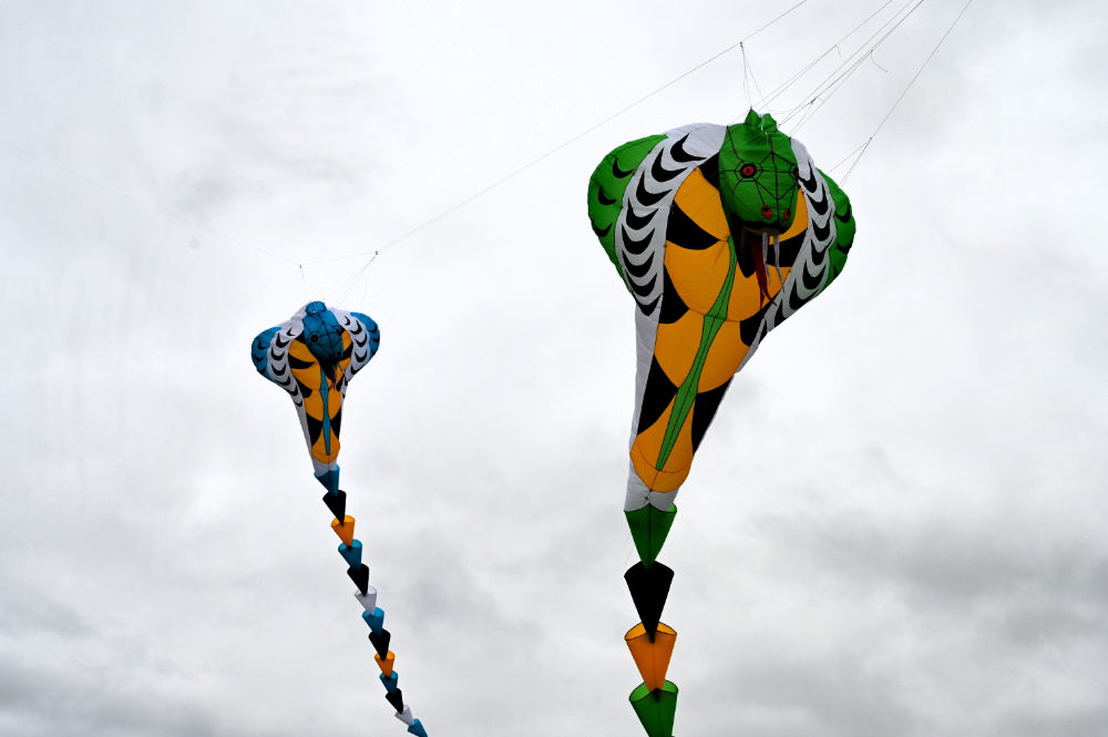 aa_drachenfest_2026_3.png