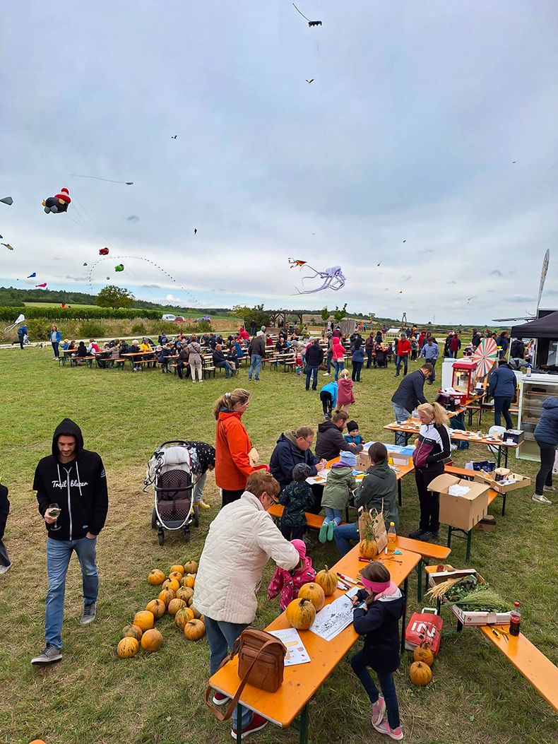 Flugshow und Bastelstationen beim Drachenfest