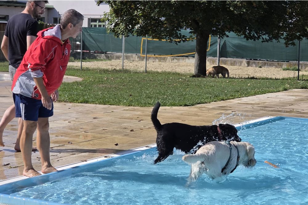 aa_hundebadetage_2026_2.jpg