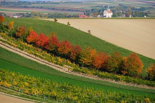 galerie_landschaft.jpg