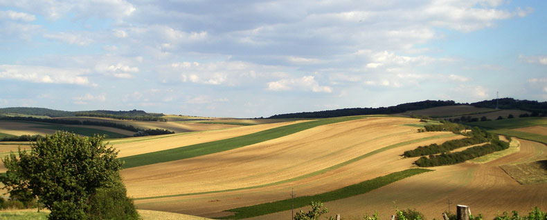 intro_stadtprofil_hollabrunn_und_orte.jpg